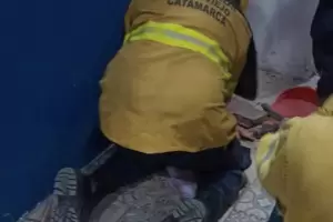 Bomberos de Valle Viejo rescataron a dos perritos asustados por la pirotecnia