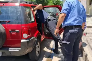 Importante gesto: Policas rescataron a dos perritos encerrados en un auto