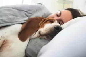Dormir con tu mascota ayuda con el sueo, Cules son sus pros y contras?