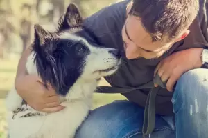 Por qu hay personas que prefieren no tener mascota?