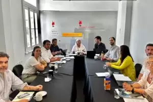 Carri reapareci y critic duramente al DNU y la Ley mnibus: "Contiene una delegacin de poderes que resultan inadmisibles"