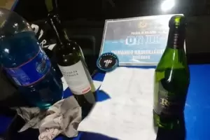 Tres adolescentes tiraron una molotov a un colectivo y amenazaron a un funcionario