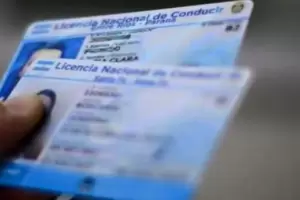 Licencias de conducir: el Gobierno habilitar el trmite para renovarlas a distancia