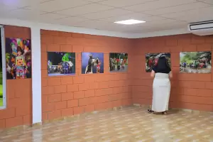 La muestra "Comparsa India 'Los Copleros' pas por Pomn