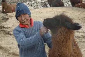Situacin de "Lorenza Sola": intervino el municipio para preservar su salud