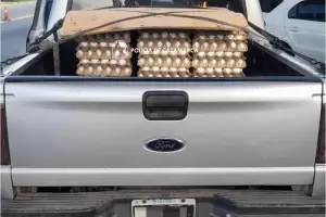 Seguridad Vial secuestro lacteos y huevos