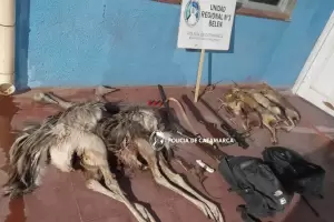 Detienen a tres personas por caza ilegal y secuestran armas de fuego