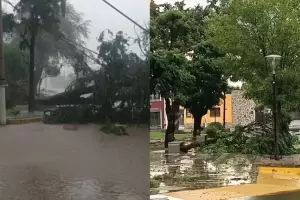 Techos volados, rboles cados y calles inundadas: un fuerte temporal en San Luis