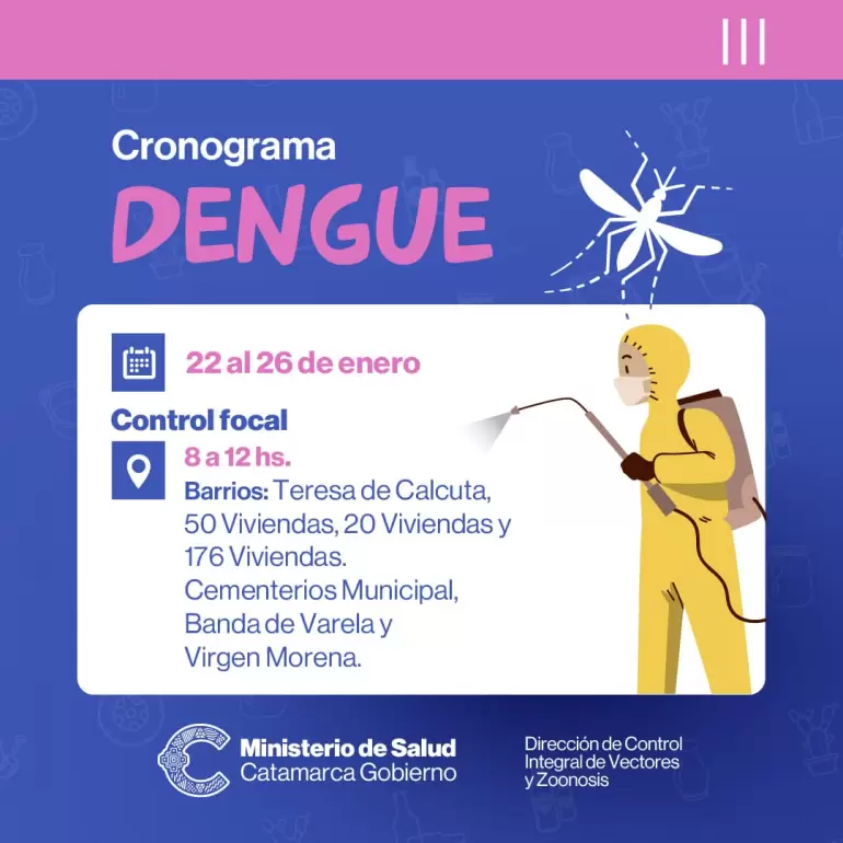 cronograma dengue