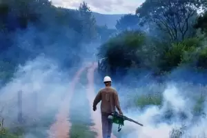 Dengue: siguen los operativos de prevencin en distintos puntos de la provincia