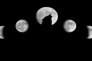 Luna llena de Lobo: cundo disfrutar del primer espectculo astronmico de 2024