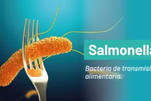 Alerta salmonella: Salud activa acciones de prevencin por el caso de Salta