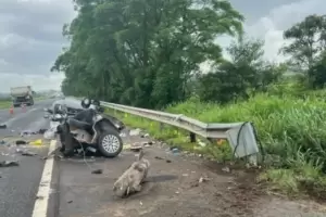 Un auto se parti en dos tras un siniestro vial: una joven argentina falleci por el impacto