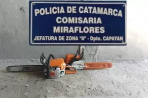 Policas recuperaron dos motosierras sustradas en Capayn