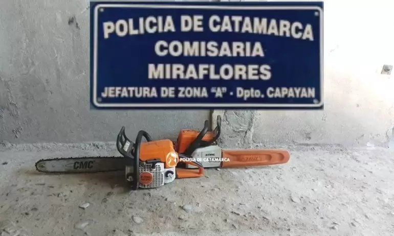 Policas recuperaron dos motosierras sustradas en Capayn