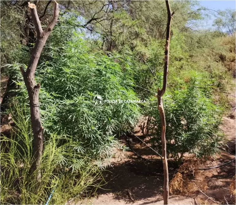 polica de catamarca