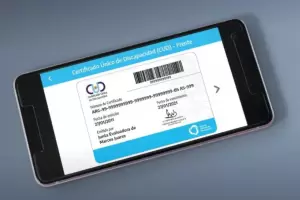 El Gobierno fij los criterios para emitir el CUD sin vencimiento