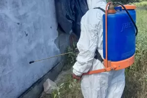 Prevencin del dengue en Santa Rosa