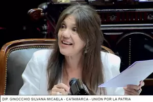 Ginocchio, sobre la privatizacin de YMAD: "Es inadmisible y contrario a la Constitucin Nacional