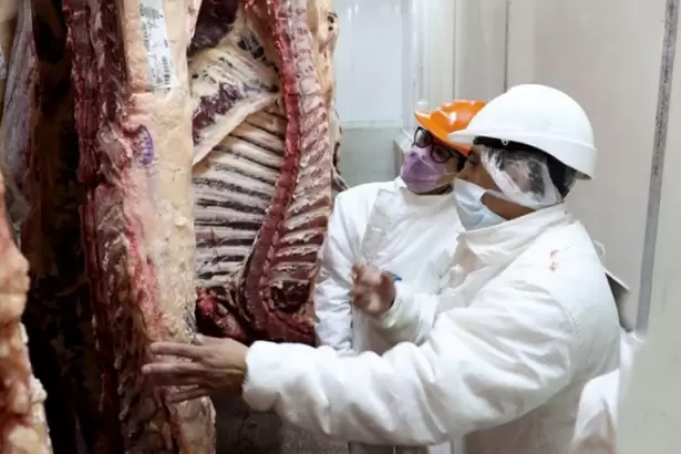 Las exportaciones de carne cayeron m�s del 25% en abril