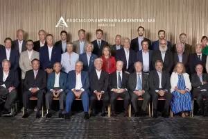 La Asociacin Empresaria Argentina celebr la aprobacin de la Ley mnibus "Es un paso muy importante"