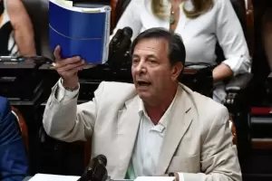 Ley mnibus: La dura reaccin de La Libertad Avanza despus de que se cayera el tratamiento en el recinto