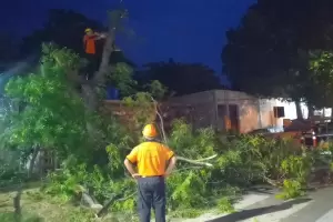 Autoridades dan una respuesta a los estragos que causaron las tormentas en Catamarca