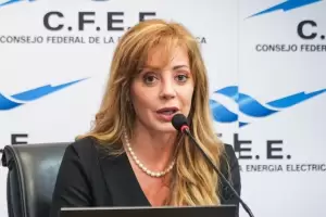 Flavia Royn afirm que apoyaba la Ley mnibus y le envi un mensaje al Gobierno