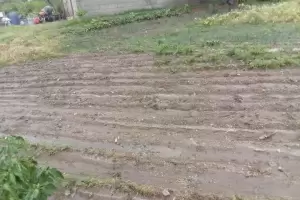 Peque�os productores de Andalgal� sufrieron perdidas en sus cosechas tras la intensa lluvia