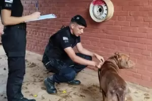 Después de 13 años de polémica, las pistolas Taser llegaron a las calles -  LA NACION