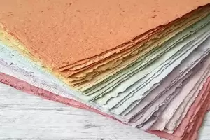 Paso a Paso: Cmo reciclar papel en casa para ahorrar dinero?