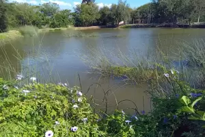 Niegan la presencia del mosquito transmisor del dengue en el estanque del INTA