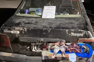 Detuvieron a tres personas, decomisaron carne vacuna y secuestraron vehculos