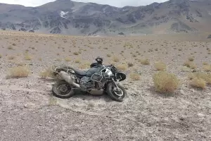 Un motociclista result herido tras chocar con una vicua