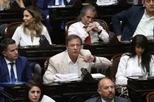Tras ser desplazado, Zago present su propio bloque en Diputados y oficializ su salida de La Libertad Avanza