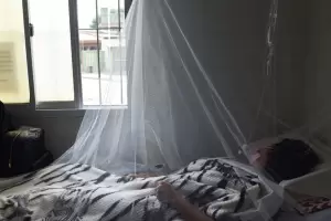 El dengue sigue batiendo rcords de casos y muertes en el pas: ya lleg el pico?