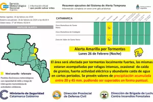 Nueva Alerta Amarilla por tormentas: qu zona afectar?
