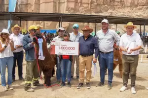 Finaliz la Feria Productiva en la Puna: premios a las mejores especies