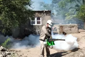 Sigue en aumento: se detectaron casi 1.000 nuevos casos de dengue y preocupa la situacin de la Capital