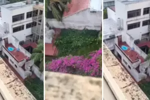 Le iniciaron una causa judicial a un hombre que fue grabado disparndole a un gato