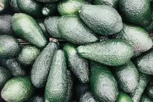 Inslito: Se meti a una casa y les rob una bolsa repleta de paltas