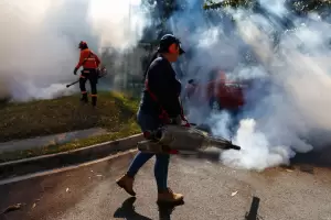 El dengue ya mat a 50 personas en Paraguay