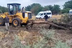 Por las lluvias, cay un rbol de gran porte y se desbord un canal en Valle Viejo
