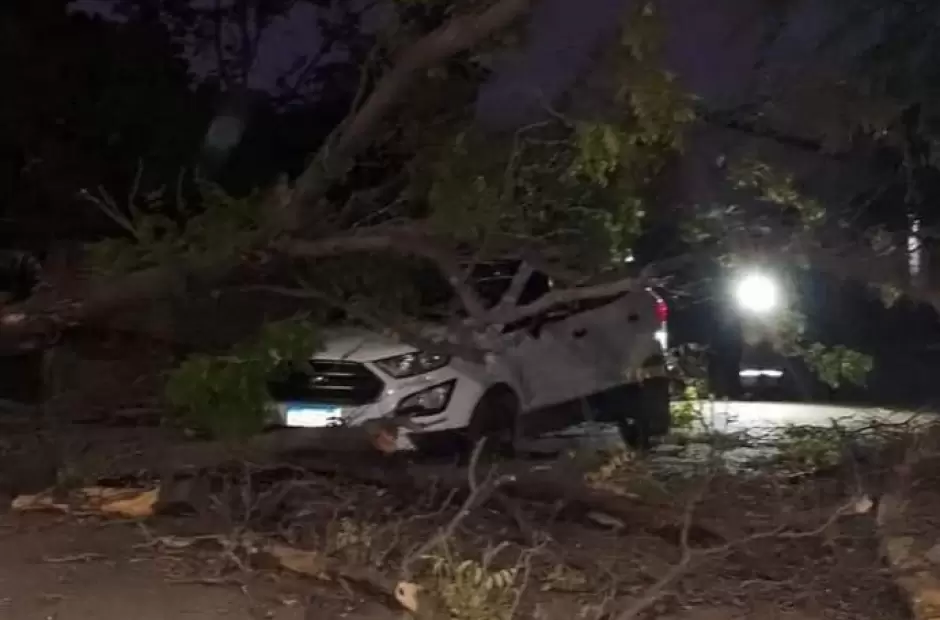 Gentileza Mega Digital