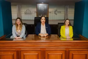 El Gobierno oficializ la convocatoria a sesiones extraordinarias en Diputados