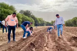 El municipio de Tinogasta present el programa hortcola