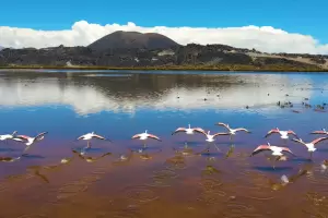 Antofagasta de la Sierra alcanz el 100% de ocupacin hotelera para el fin de semana XXL