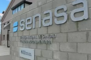 Paro en el Senasa amenaza con frenar las exportaciones agroindustriales por 48 horas