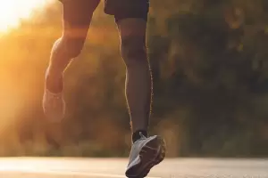 Cientficos determinan cunto tiempo hay que pasar en la naturaleza para recuperar la salud mental