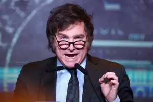 El tuit polmico de Milei por el reclamo de un nio con autismo de la Ley de Discapacidad